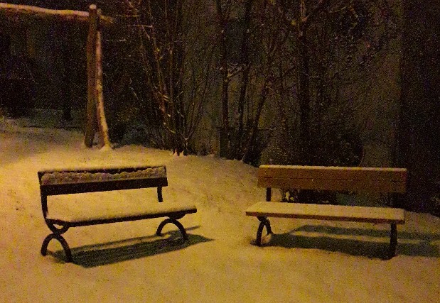 20210117_064412.jpg