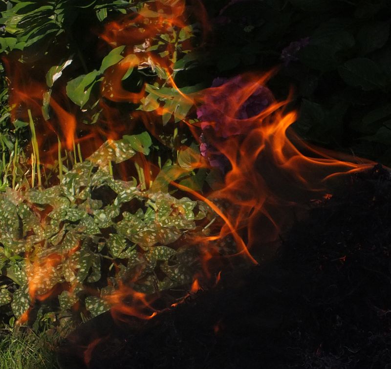 flammen.jpg