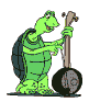 turtle10_animated.gif