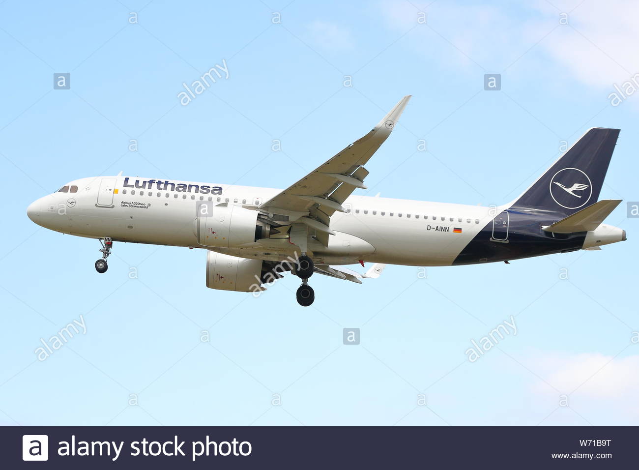 new_lh_livery.jpg