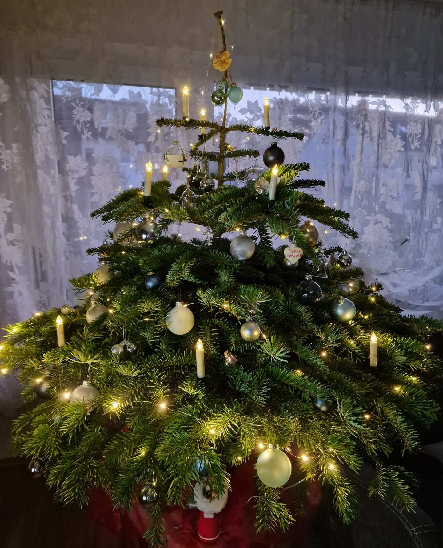 weihnachtsbaum_2025_01.jpg