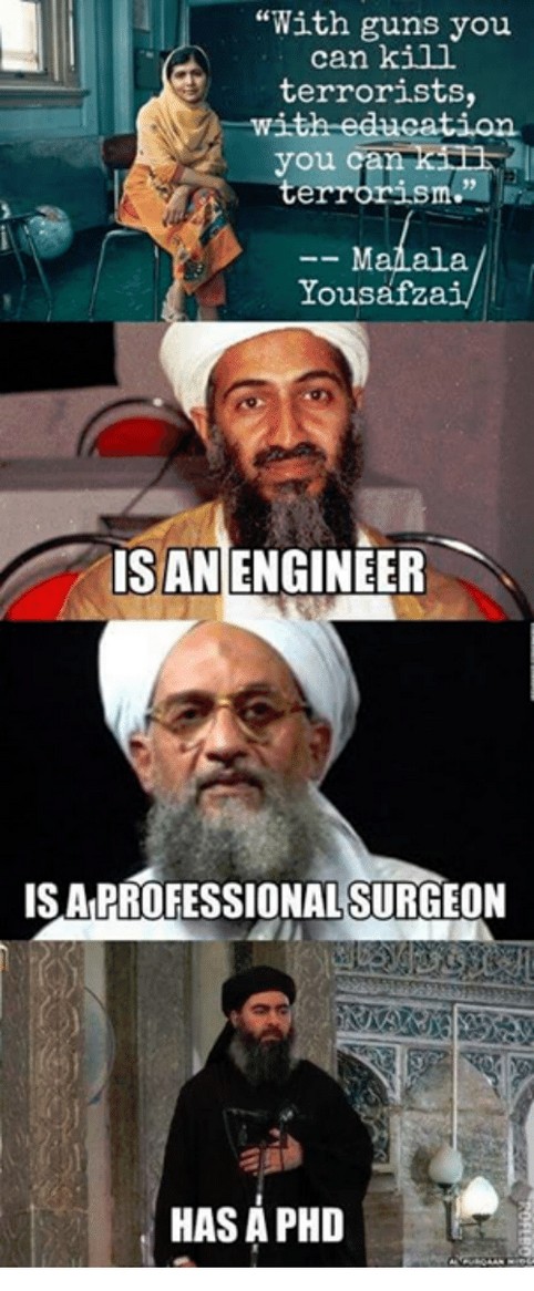 with-guns-you-can-kill-terrorists-ith-education-....jpg